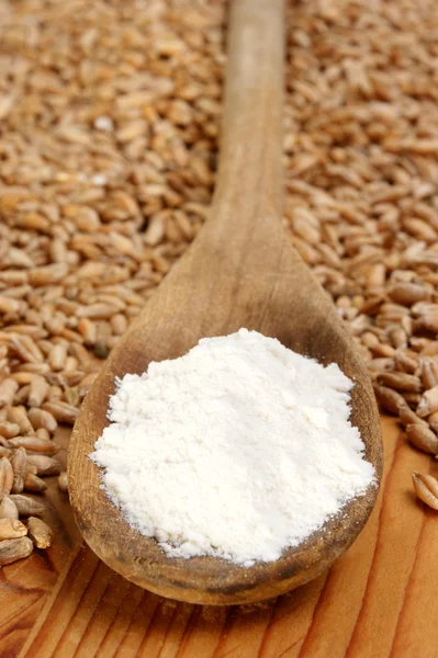 Flour on a wooden spoon and grain — Stock Photo, Image