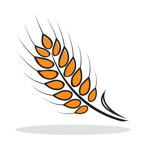 Orange abstract wheat — Stock Vector