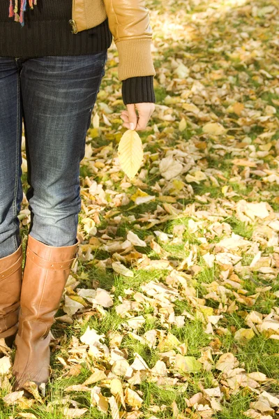 Pořádá podzimní listí — Stock fotografie