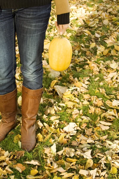 Pumpkin Hold — Stock Photo, Image