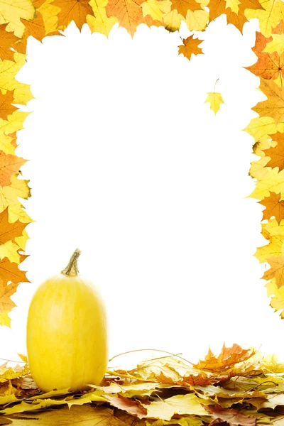 Гарбузи з осіннім листям — стокове фото
