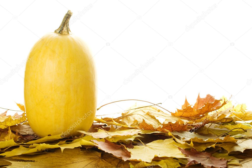 Pumpkins with fall leaves