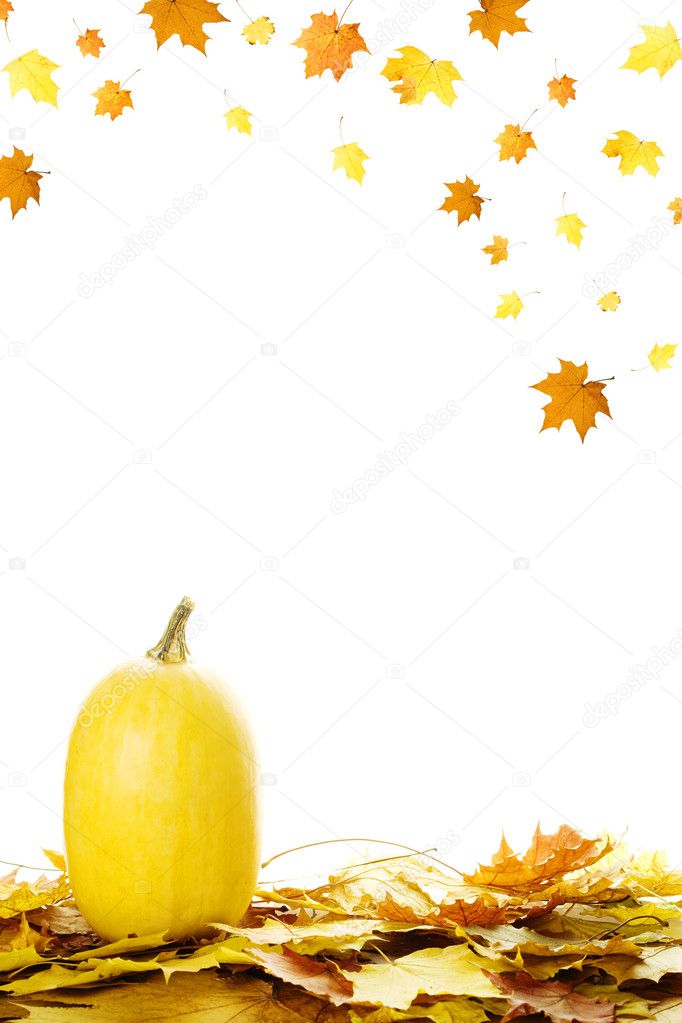 Pumpkins with fall leaves