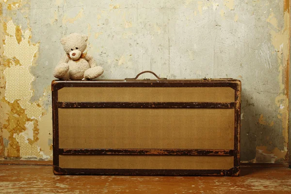 Teddy ile bavul — Stok fotoğraf