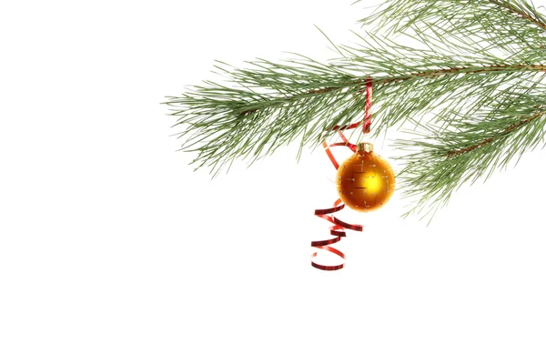 Christmas ball på grenen — Stockfoto