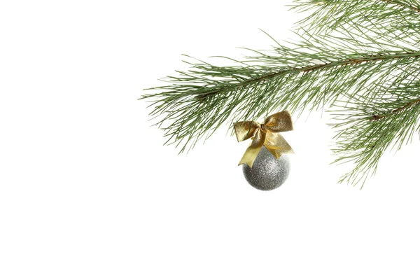 Christmas ball on the branch — Stock Photo, Image