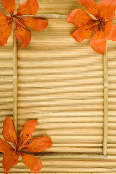 Frame van bloemen en bamboestokken — Stockfoto