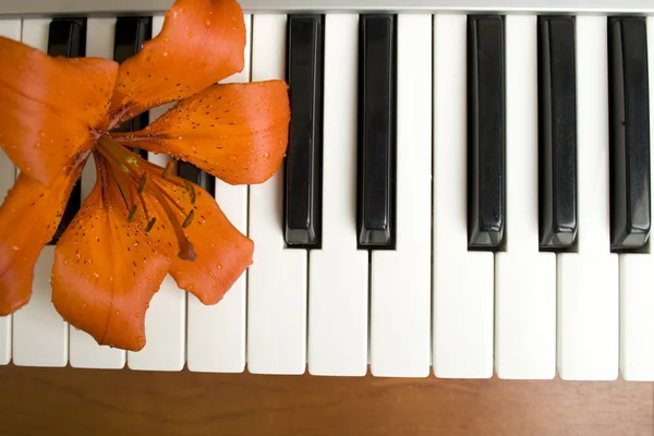 在钢琴上的百合花 — 图库照片