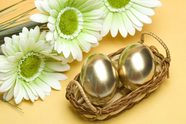 Huevos de oro — Foto de Stock