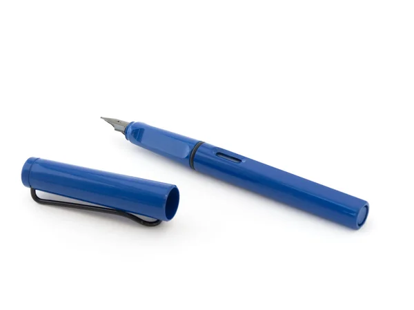 Одуванчиковая письменная ручка Стоковое Фото
