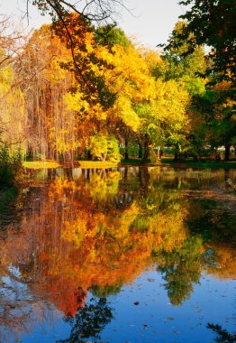 imagen HDR de un parque en otoño