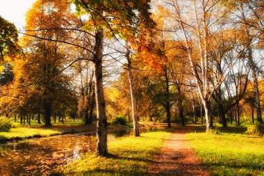 imagen HDR de un parque en otoño