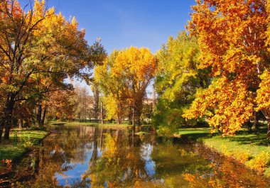 imagen HDR de un parque en otoño