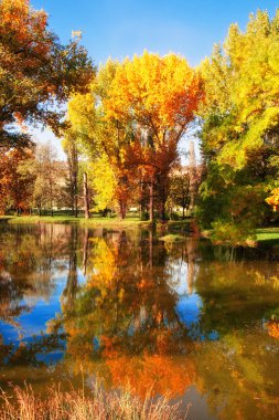 imagen HDR de un parque en otoño