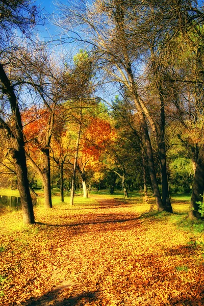 Hdr Bild eines Parks im Herbst — Stockfoto