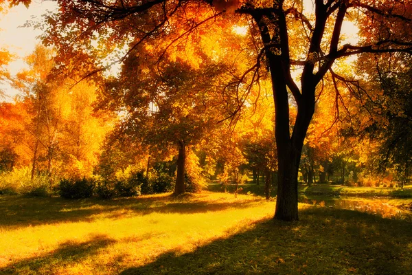 HDR image of a park in autumn — Stock Photo, Image
