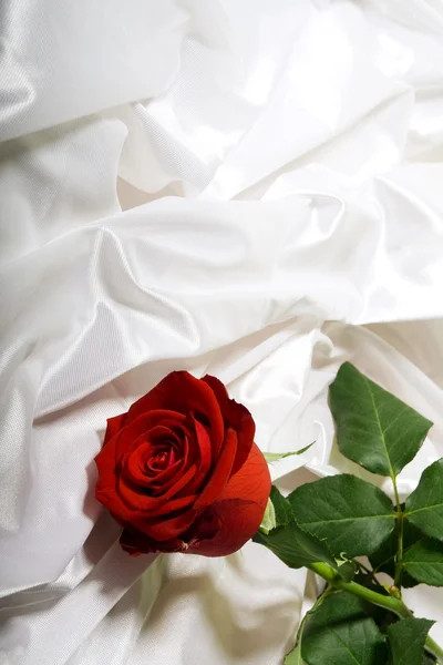 Rosa Vermelha Com Folhas Verdes Entre Dobras Têxtil Texturizado Branco — Fotografia de Stock