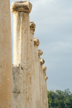 Roma devri scythopolis kalıntıları. Beit shean. İsrail