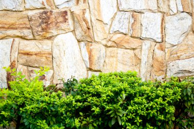 Textured stone wall and plants clipart