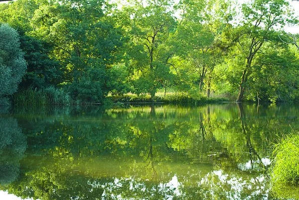 Grüner Fluss — Stockfoto