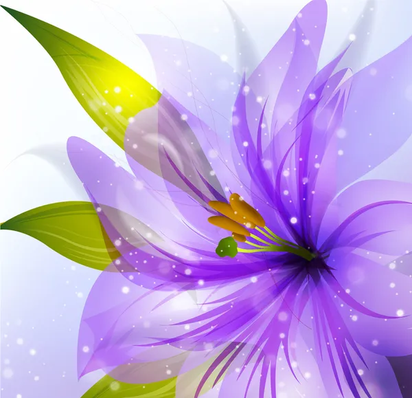Lily Ornamento Flor Parabéns Cartão Postal Imagem — Vetor de Stock