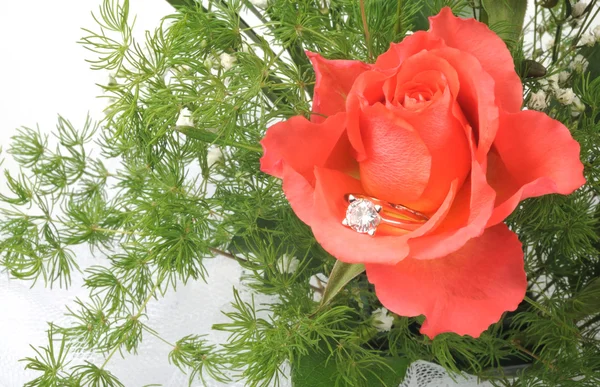 玫瑰和钻石ワシントン dc の桜の花 — 图库照片