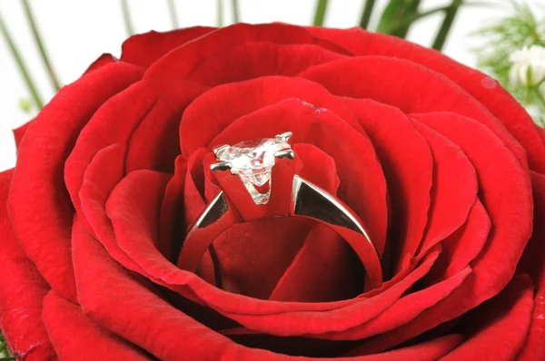 Rosas e diamantes — Fotografia de Stock