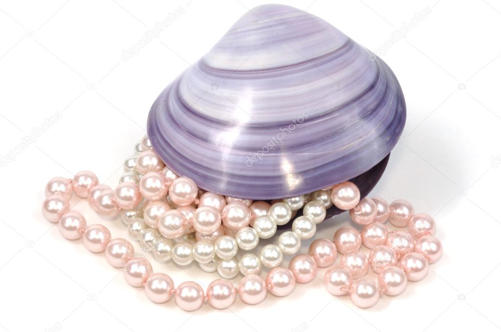 Seashell and pearls