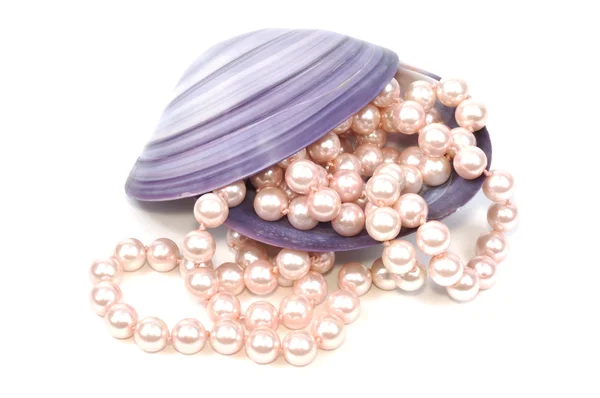 Concha marina y perlas — Foto de Stock
