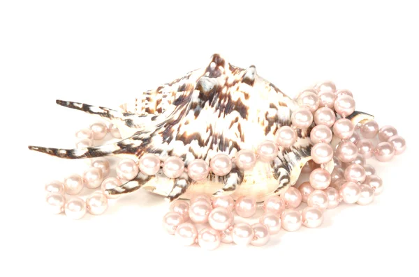 贝壳和珍珠项链 — 图库照片