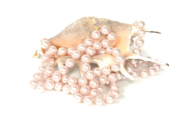 Seashell och pärlhalsband — Stockfoto