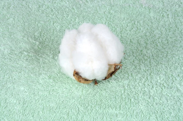 Toalha de algodão — Fotografia de Stock