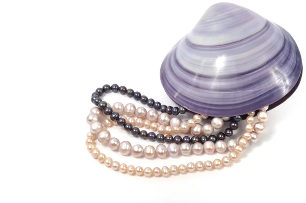 白で隔離され 大きな貝殻内部の真珠のネックレス — ストック写真