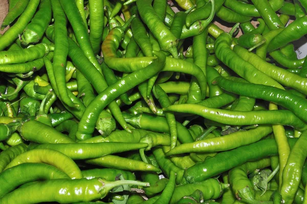 Groene hete pepers — Stockfoto