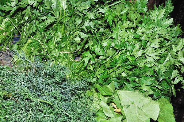 Fresh parsley, still life. — Stock Photo, Image