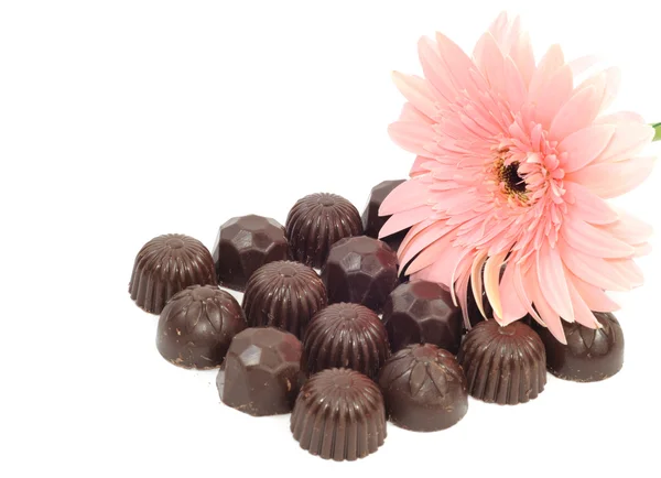 Gerber y chocolate —  Fotos de Stock
