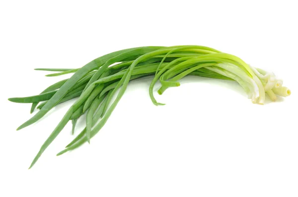 stock image Spring onions