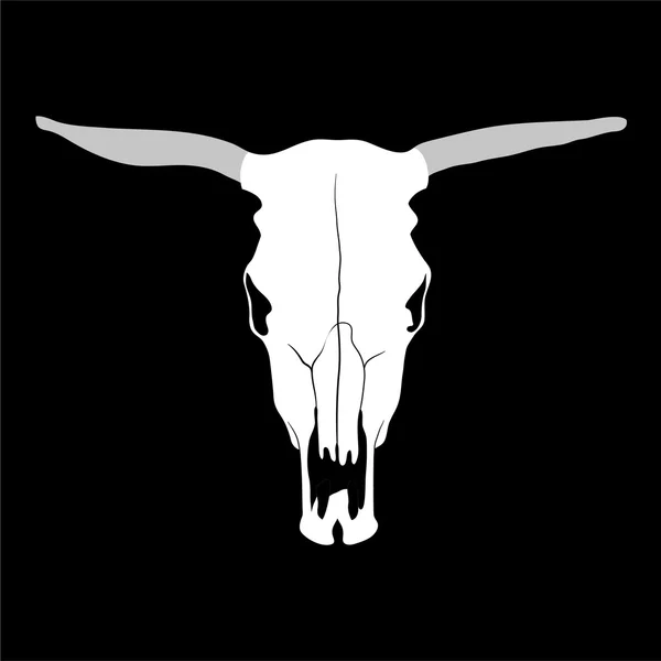 Cow skull — Stock Vector