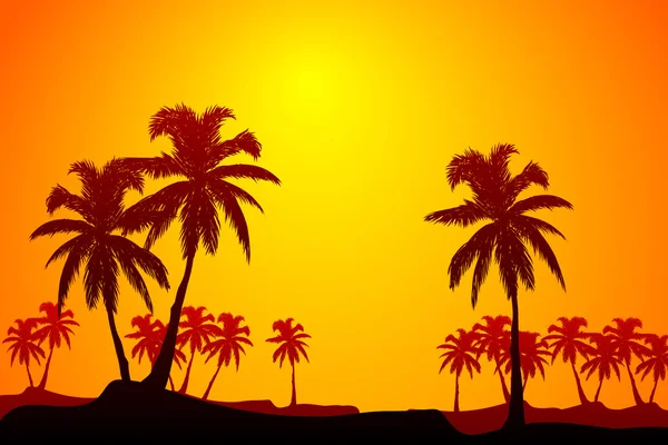 Nascer do sol tropical —  Vetores de Stock