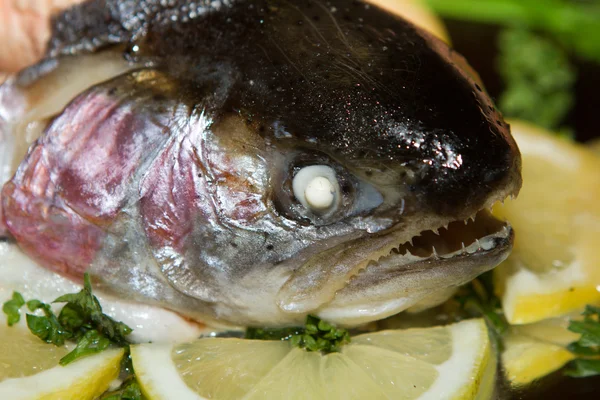新鮮な鮭の頭 — ストック写真