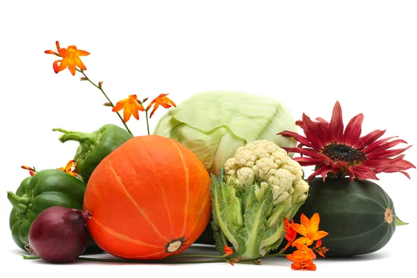Vegetable and autumn flower isolated on white background — Stock Photo, Image