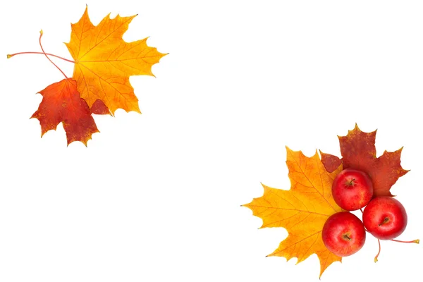 美丽的秋天帧-枫叶和孤立的 wh 的红苹果 — 图库照片