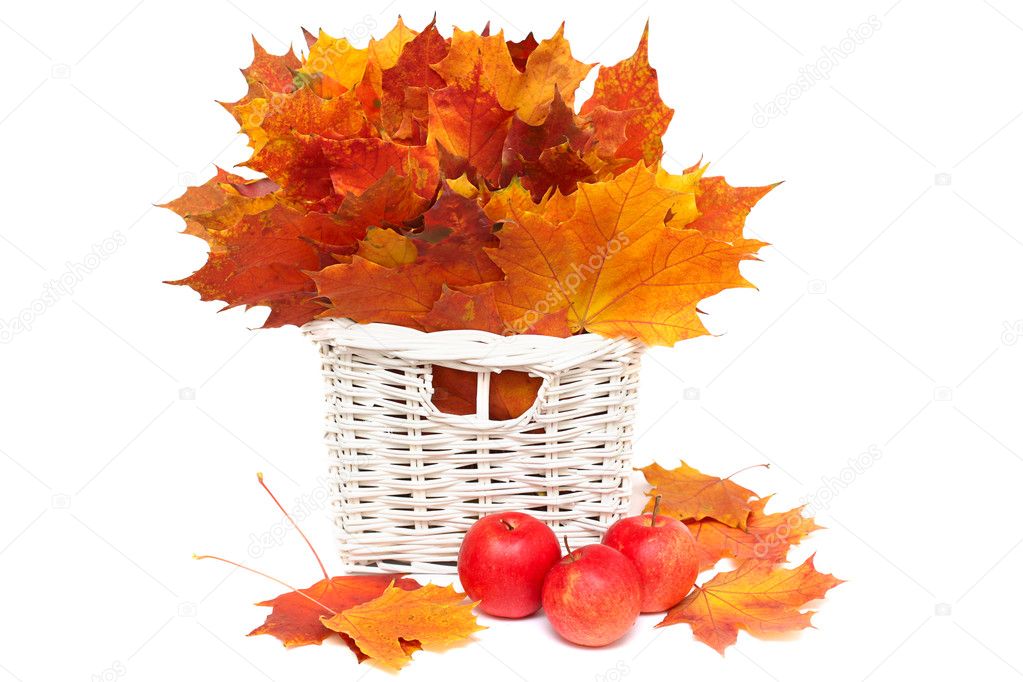 Beautiful arrangement of autumn leaves and red apples - isolated