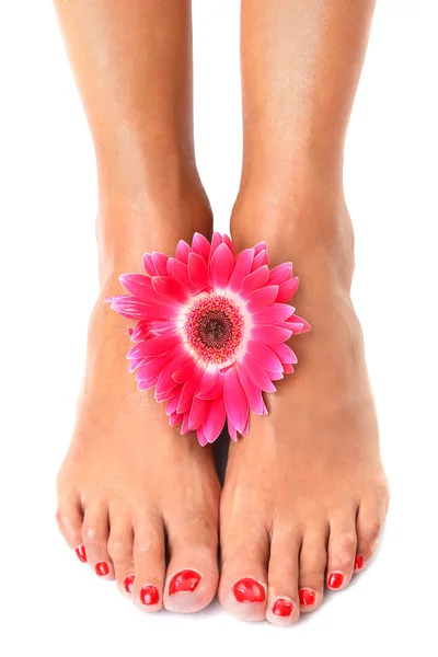 Belles jambes féminines avec des ongles rouges et fleur — Photo