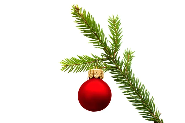 Ramo de abeto de Natal com bola vermelha — Fotografia de Stock