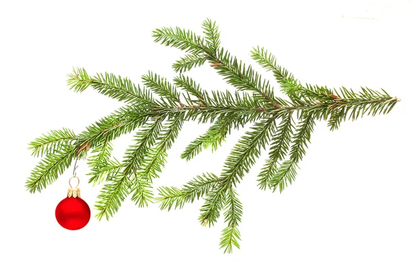 New Year fir and red ball isolated on white — Stock Photo, Image