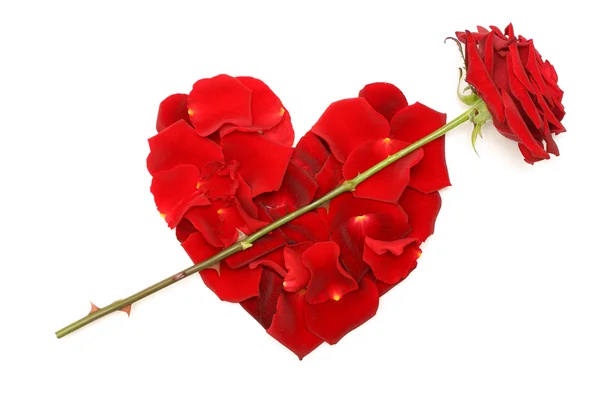 Liefde concepten - rode roos en hart van bloemblaadjes — Stockfoto