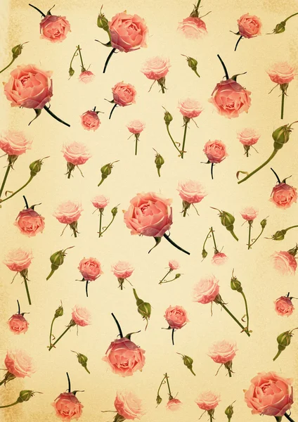 Фон с нежными розовыми розами — стоковое фото