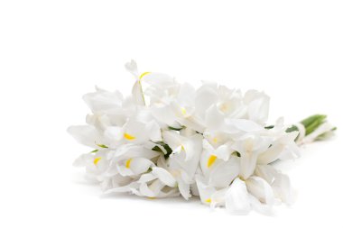 Floral arrangement - white flowers clipart