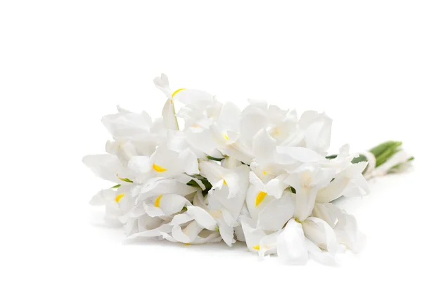 Arrangement floral - fleurs blanches — Photo